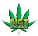 BIGZ Recreational  logo