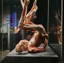Photo d'une des pièces de l'exposition de Gunther Von Hagen