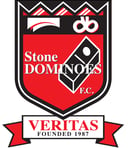a logo for a soccer team with a shield and a shield