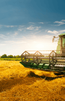 a green and yellow combiner in a field