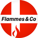Scan-Line Flammes & Co Groupe TDL, La Roche sur Yon, spécialiste poêles scandinaves logo