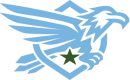 Young Patriots Association logo