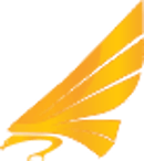 Gold Hawk logo