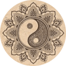 Dr Vinday Jagjivan - Chinese Herbal Medicine & Acupuncture logo