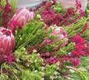 bouquet of pink flowers and green foliage