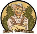 How to Grow Cannabis in Malta