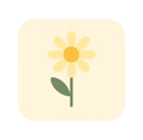 daisy icon for decoration