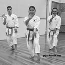 Karate Kenyukan