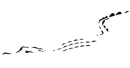Chael crocodile logo