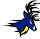 Deer Park DPHS DPMS Stags Spikes Go Stags Printing School