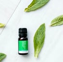 peppermint essential oil