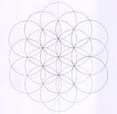konjunto hand drawn illustration of underlying geometry of nexus pattern