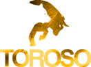 Toroso Trading logo