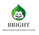 BRIGHTROSE VENTURES LIMITED logo