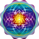 Divine Soul - The Universe Hear's You logo