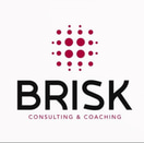 Brisk logo