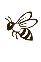 Kitui SamAllen Innovative Apiaries logo