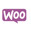woocommerce expert services