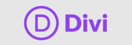 divi expert