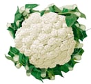 légume fleur - chou-fleur