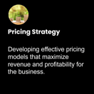 pricing-strategy