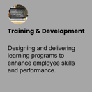 training-development