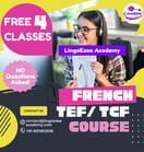 free french classes