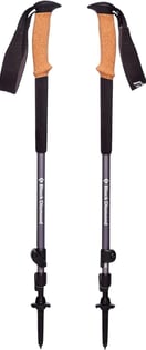 a pair of trekking poles with a black and brown strap