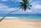 Alankuda beach