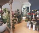 Rénovation d'une boutique