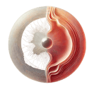 logotipo da RETINAI
