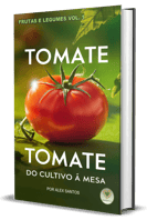 TOMATE DO CULTIVO à MESA - ALEX SANTOS