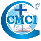 GMGI Braunschweig logo