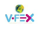 Vfexglobal logo