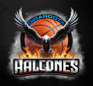 Club de Baloncesto Halcones logo