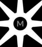 ماجيستيك logo