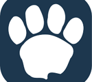 LAION's logo, a white paw print on a dark blue background