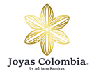 diseñadores web en pereira