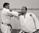 Kenyukan Aikijutsu