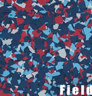field epoxy flakes