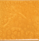 gold pearl pigment