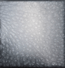 light grey pigment