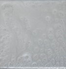 luster white pigment 