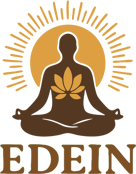 EDEIN logo
