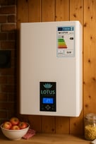 Platzsparende Lotus E300 Plasma Therme – kompakter Heizkessel mit moderner Plasma-Technologie