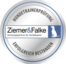 https://www.ziemer-falke.de/