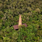 Reforestation in Colombia. Terra Forest
