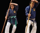 Kenyukan Kobudo weappons