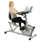 recumbent bike