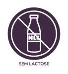 Sem Lactose Mr. Fit Prudente
